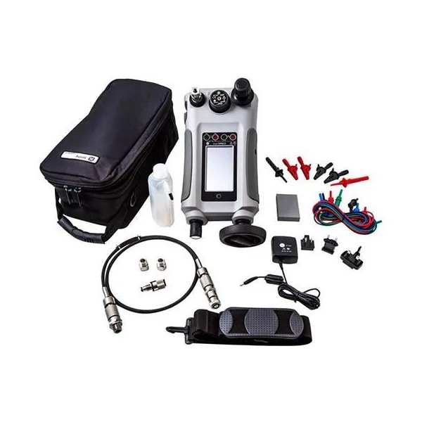 Druck Dpi612