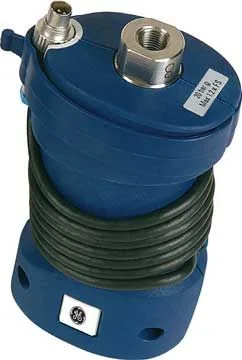 Druck IUPMP2000